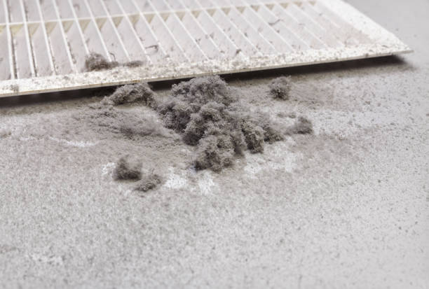 Best Air Duct Cleaning Company Near Me  in Winsted, CT